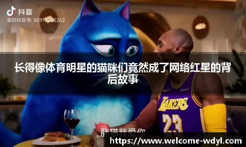问鼎娱乐